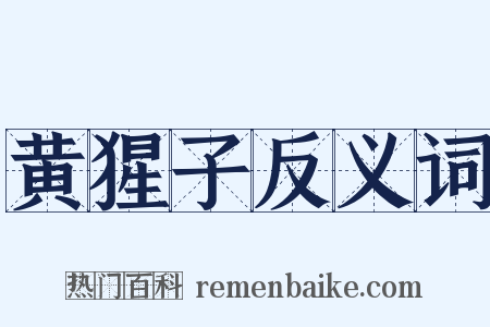黄猩子反义词是什么意思的图片